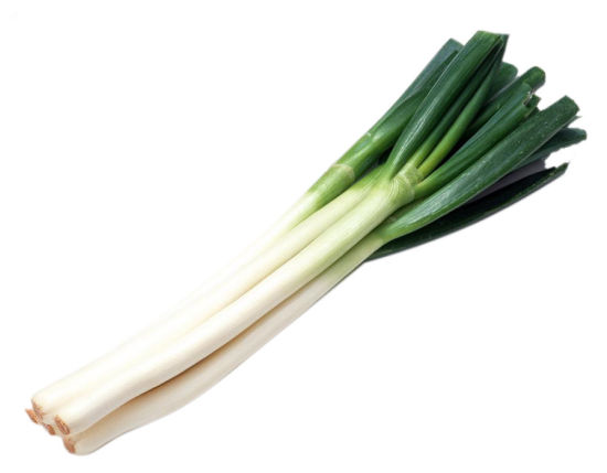 21c78c88948f557b6681df14f0d82069.jpg