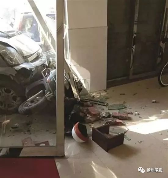 驾车撞死偷狗人现场4