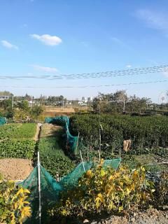 江扬天乐湖 2室1厅0卫 130平米 50万元772.jpg