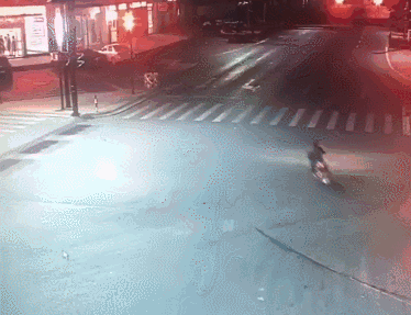 mmexport1545873394863.gif