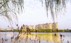 江扬天乐湖 1室1厅1卫 49平米 60万元1575.jpg