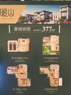 暖山别墅 4室3厅3卫 236平米 255万元1173.jpg