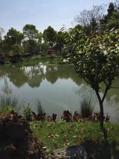 和景印象城 3室2厅2卫 130平米 180万元1362.jpg