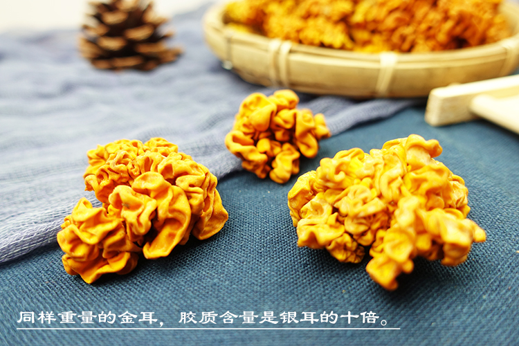 金耳和银耳比较.jpg
